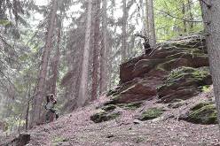 Výšlap na Pernštejn - 2.6.2012