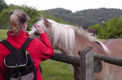 Výšlap na Pernštejn - 2.6.2012
